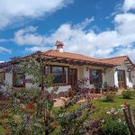 WhatsApp Image 2022-11-22 at 10.54.47 AM