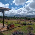 WhatsApp Image 2022-11-22 at 10.54.48 AM