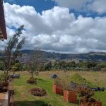 WhatsApp Image 2022-11-22 at 10.54.53 AM