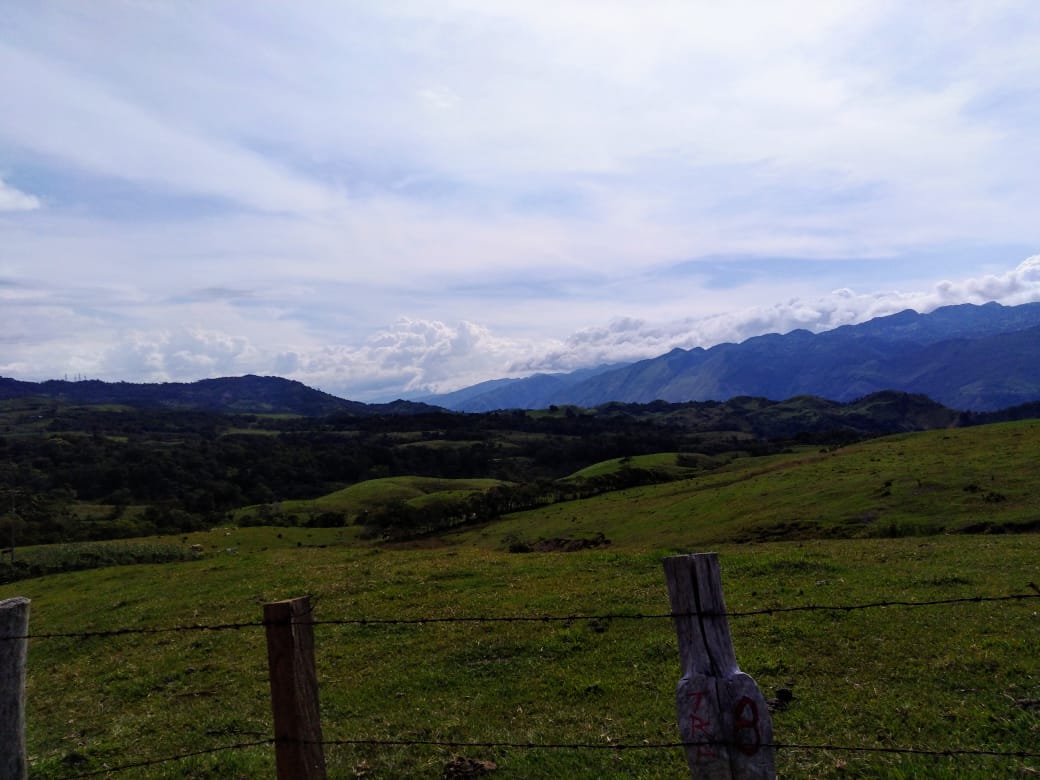 WhatsApp Image 2019-11-14 at 9.45.06 AM