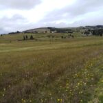 WhatsApp Image 2019-11-14 at 9.49.15 AM (1)