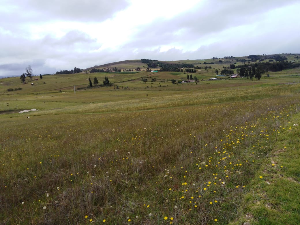 WhatsApp Image 2019-11-14 at 9.49.15 AM (1)