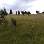 WhatsApp Image 2019-11-14 at 9.49.15 AM