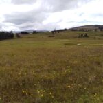 WhatsApp Image 2019-11-14 at 9.49.15 AM (2)