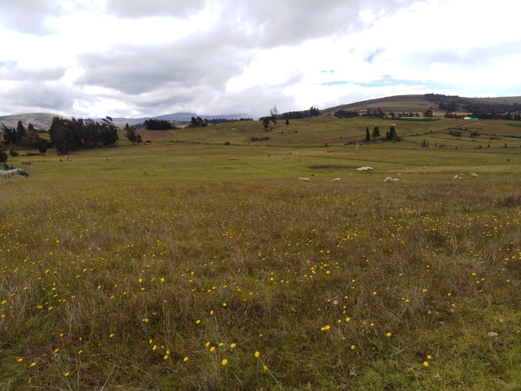 WhatsApp Image 2019-11-14 at 9.49.15 AM (2)