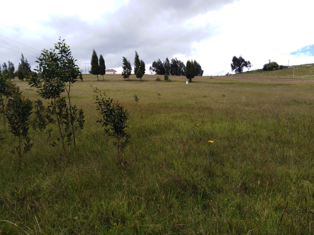 WhatsApp Image 2019-11-14 at 9.49.15 AM