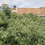 WhatsApp Image 2024-07-12 at 3.08.29 PM (1)