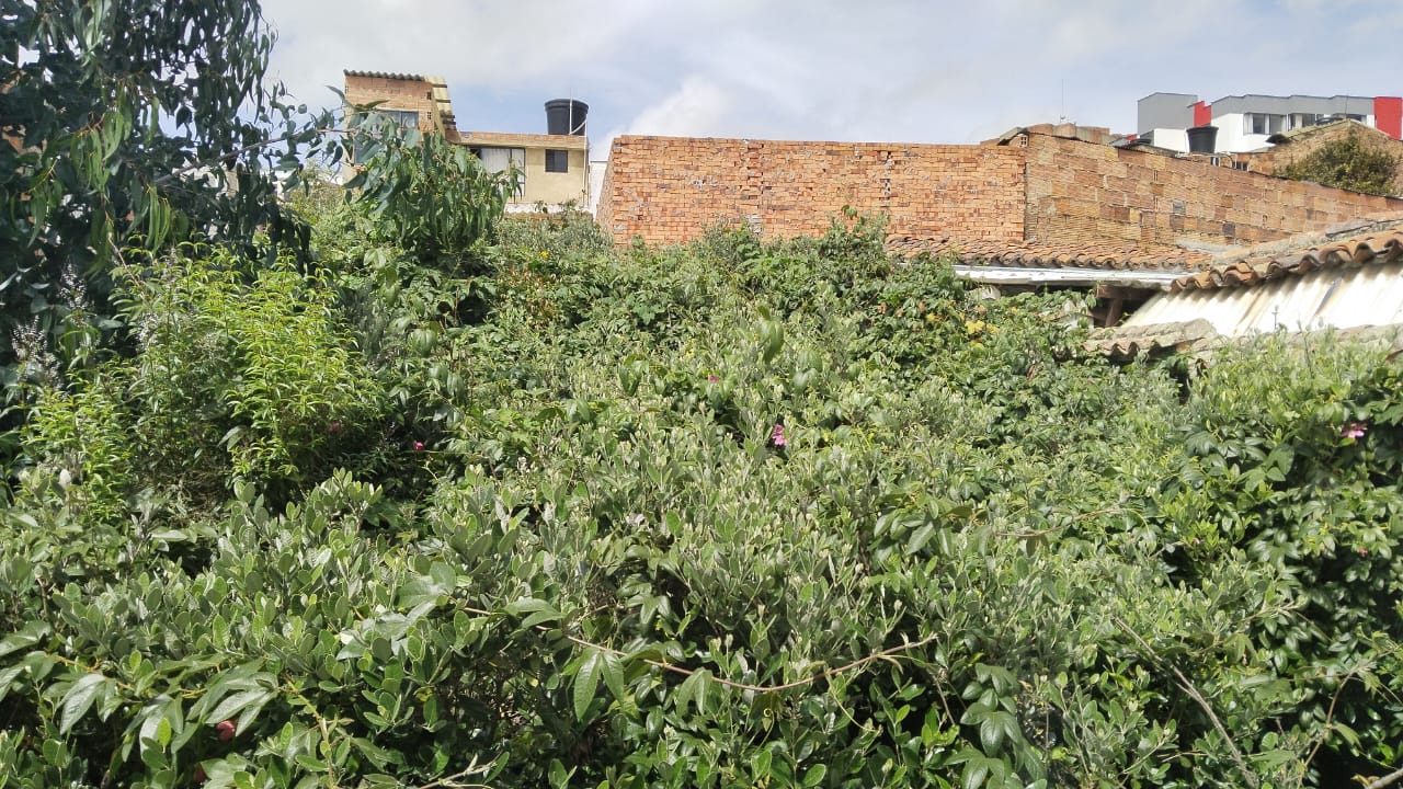 WhatsApp Image 2024-07-12 at 3.08.29 PM (1)