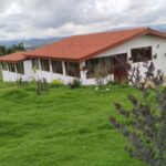 WhatsApp Image 2024-07-24 at 3.21.37 PM (1)