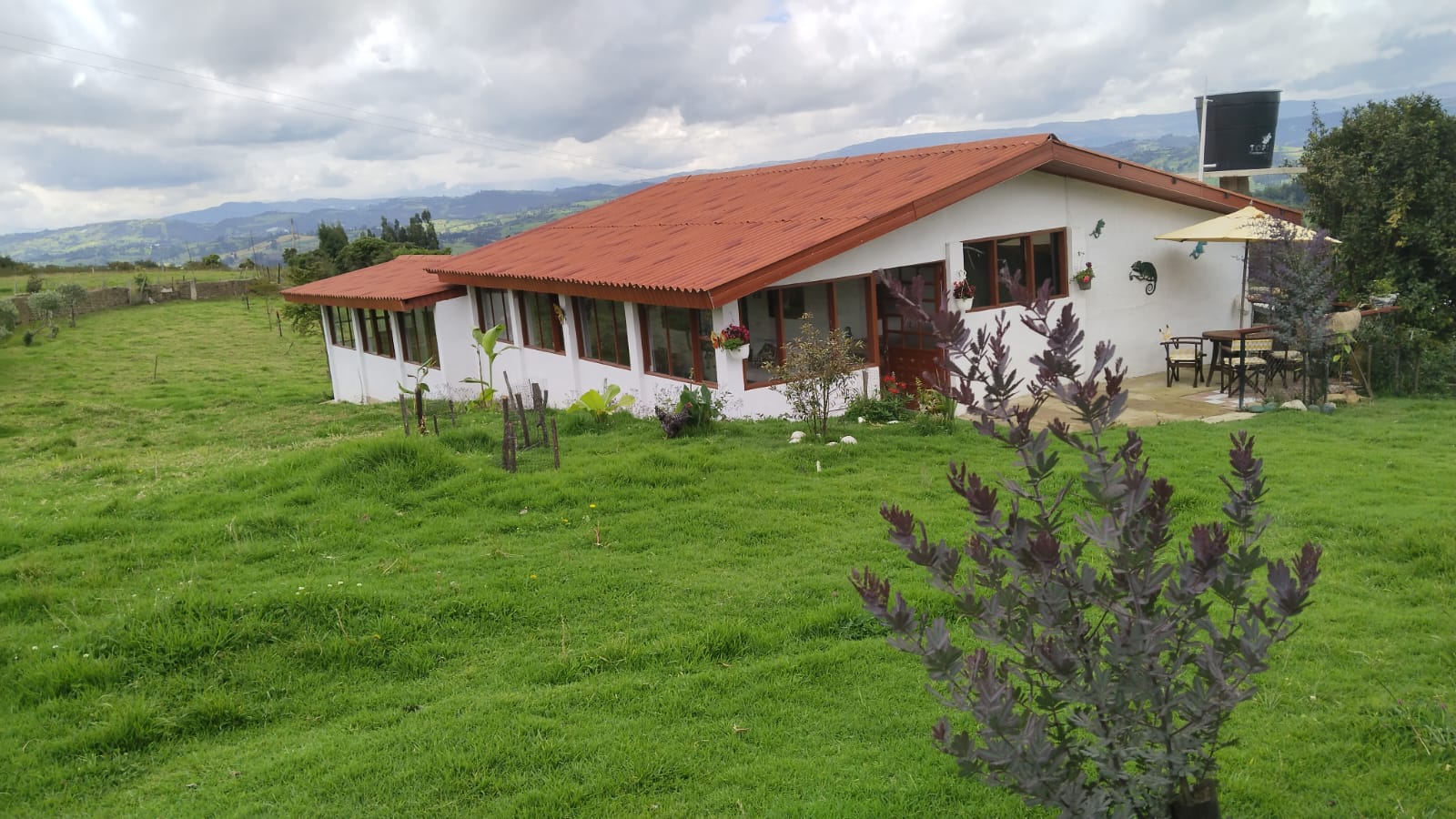 WhatsApp Image 2024-07-24 at 3.21.37 PM (1)