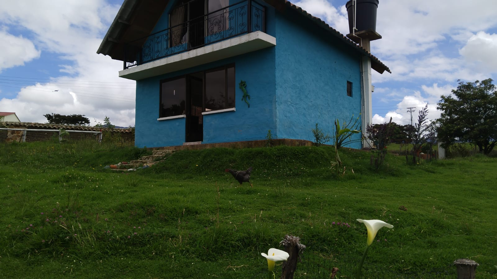 WhatsApp Image 2024-07-24 at 3.21.38 PM (2)