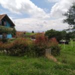 WhatsApp Image 2024-07-24 at 3.21.39 PM