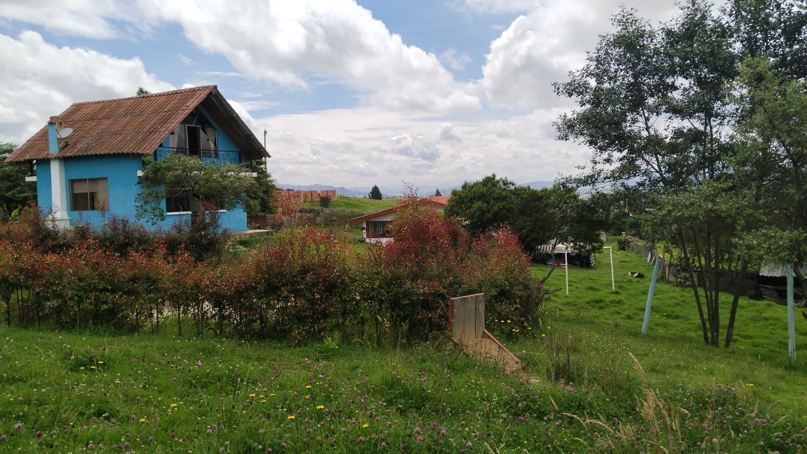 WhatsApp Image 2024-07-24 at 3.21.39 PM