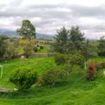 WhatsApp Image 2024-07-24 at 3.21.42 PM (1)