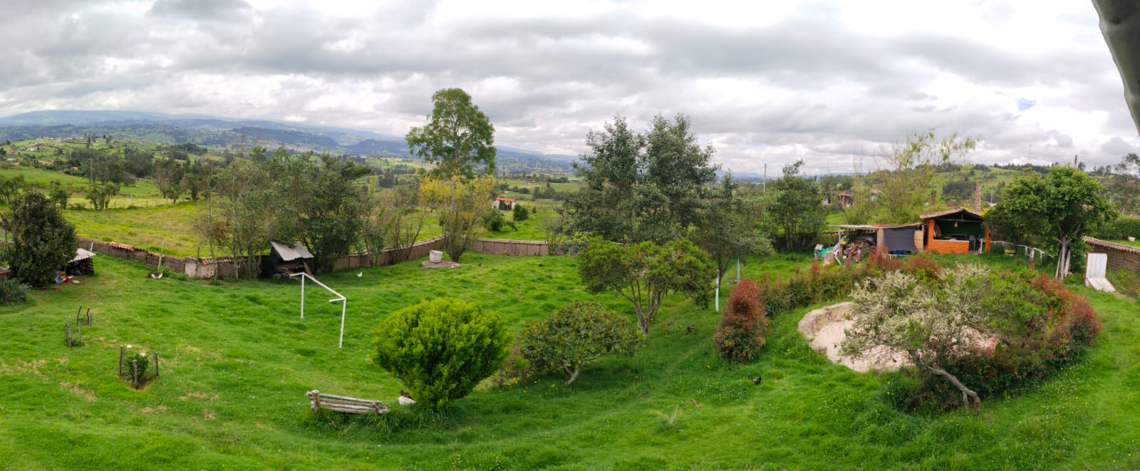 WhatsApp Image 2024-07-24 at 3.21.42 PM (1)