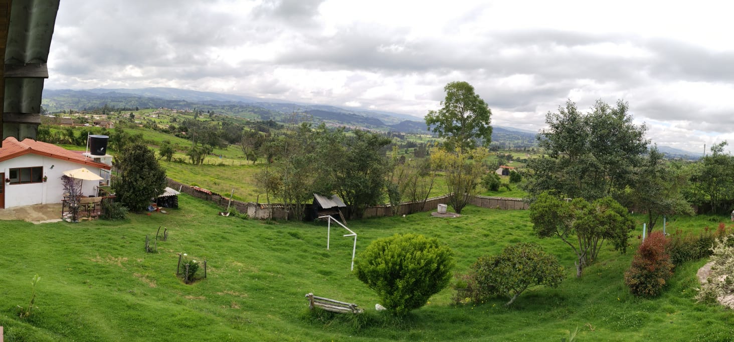 WhatsApp Image 2024-07-24 at 3.21.42 PM