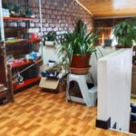 WhatsApp Image 2024-09-25 at 11.44.41 AM