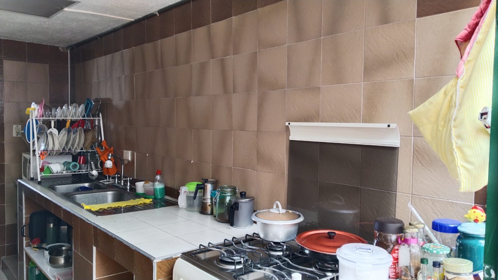 WhatsApp Image 2024-09-25 at 11.44.42 AM (1)