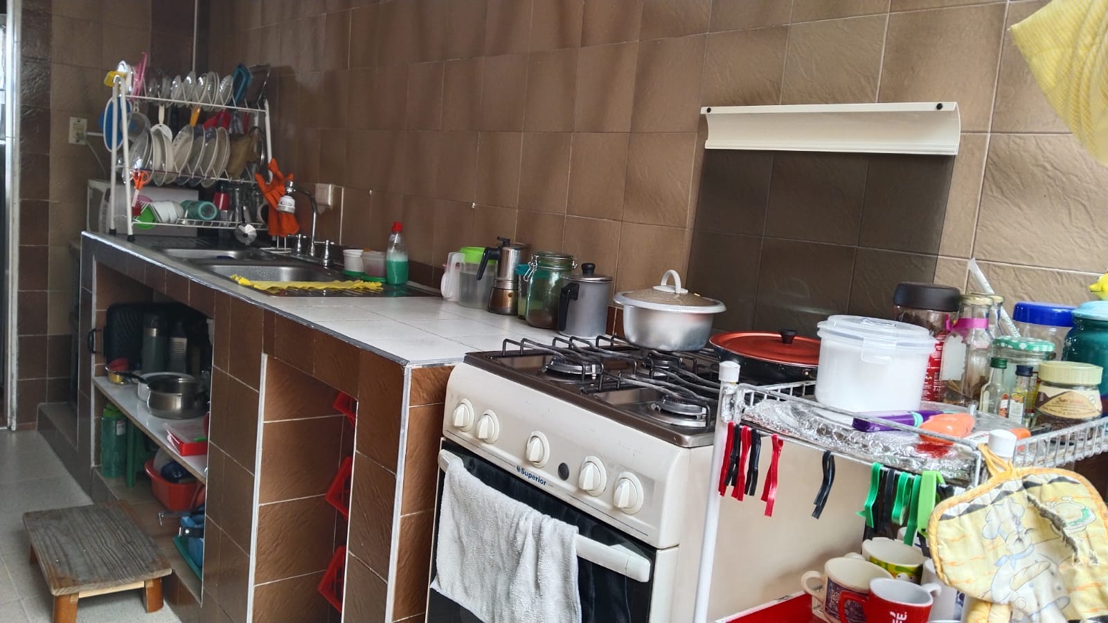 WhatsApp Image 2024-09-25 at 11.44.42 AM (2)