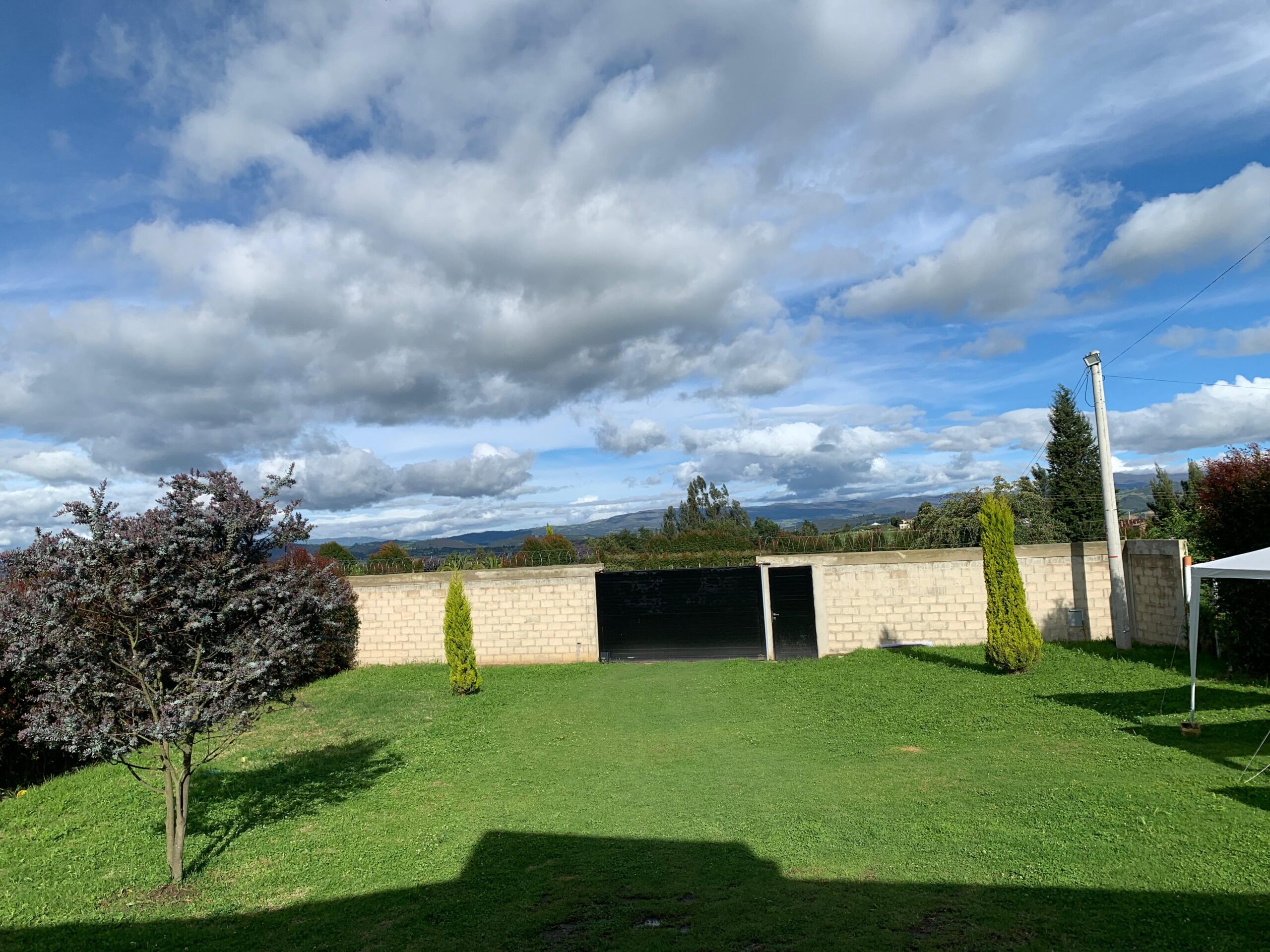 WhatsApp Image 2024-10-17 at 11.58.13 AM (1)