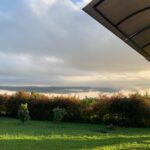 WhatsApp Image 2024-10-17 at 11.58.14 AM (1)