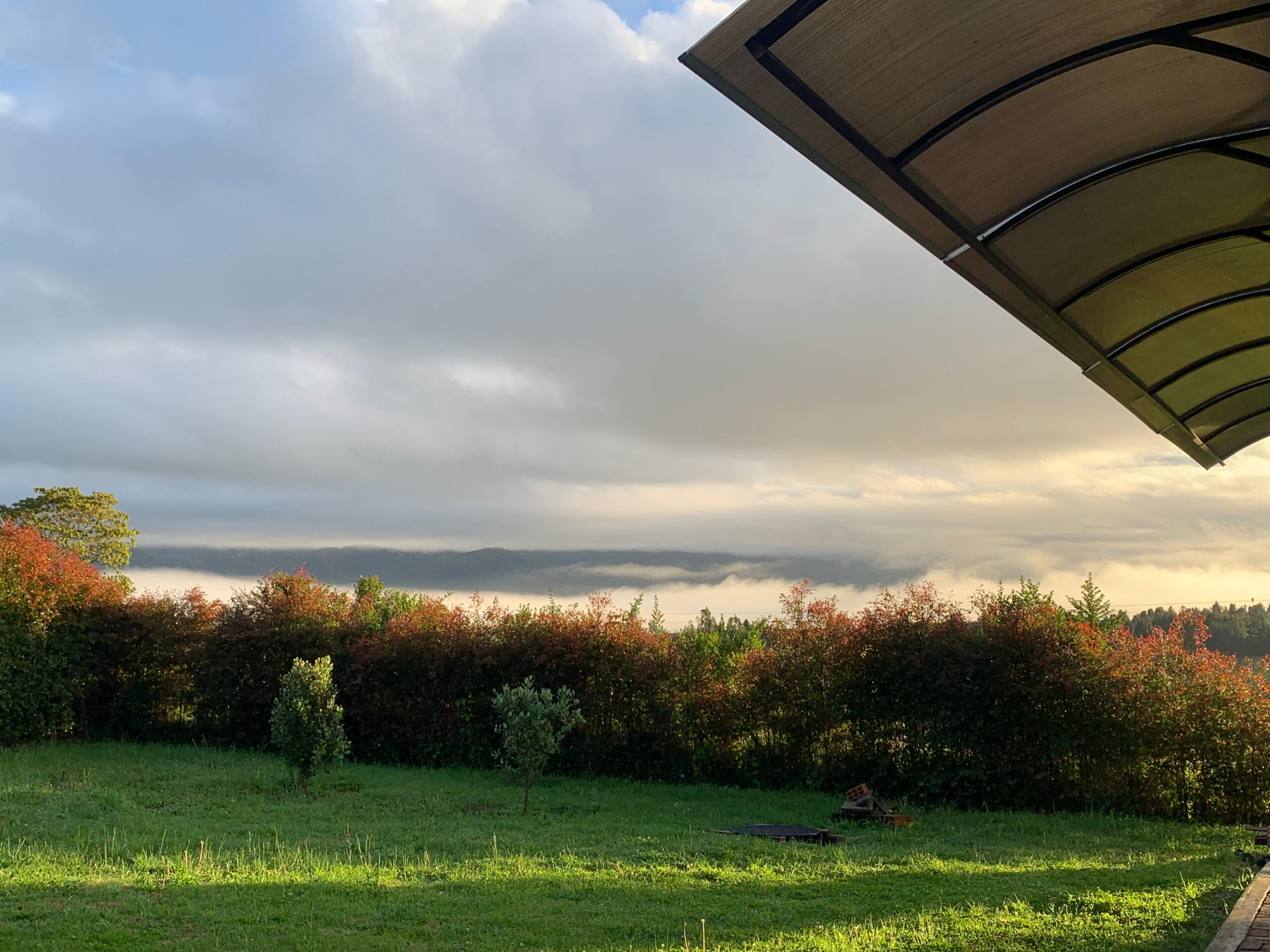 WhatsApp Image 2024-10-17 at 11.58.14 AM (1)