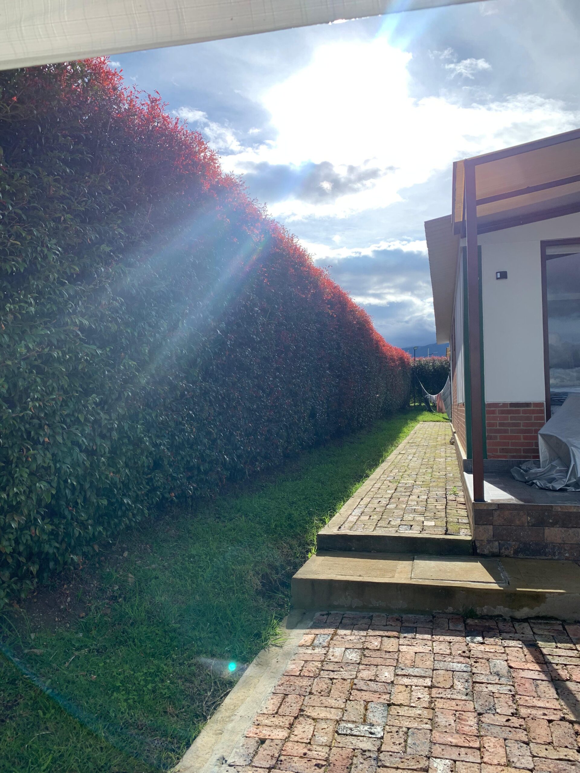 WhatsApp Image 2024-10-17 at 11.58.14 AM