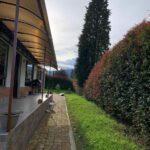 WhatsApp Image 2024-10-17 at 11.58.22 AM