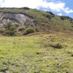 WhatsApp Image 2024-10-25 at 8.45.04 AM (2)