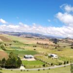 WhatsApp Image 2024-10-25 at 8.45.04 AM (3)