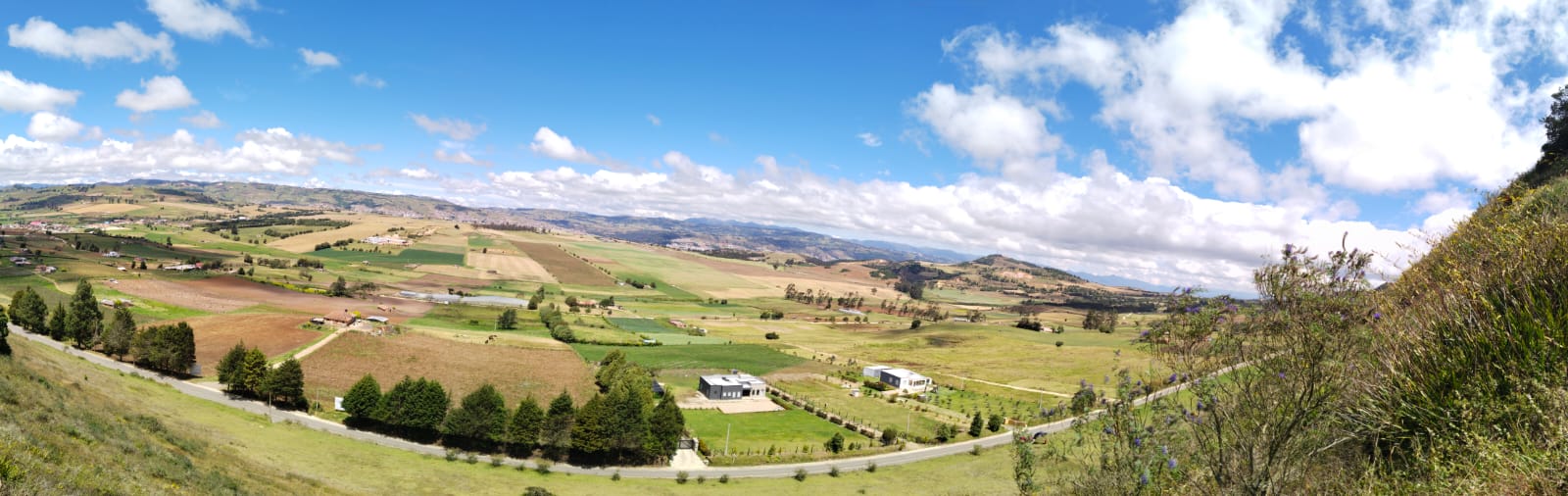 WhatsApp Image 2024-10-25 at 8.45.04 AM (3)