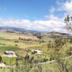 WhatsApp Image 2024-10-25 at 8.45.05 AM (1)