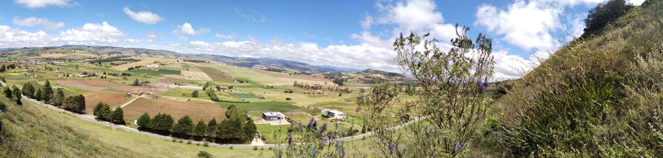 WhatsApp Image 2024-10-25 at 8.45.05 AM (1)