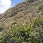 WhatsApp Image 2024-10-25 at 8.45.50 AM (3)