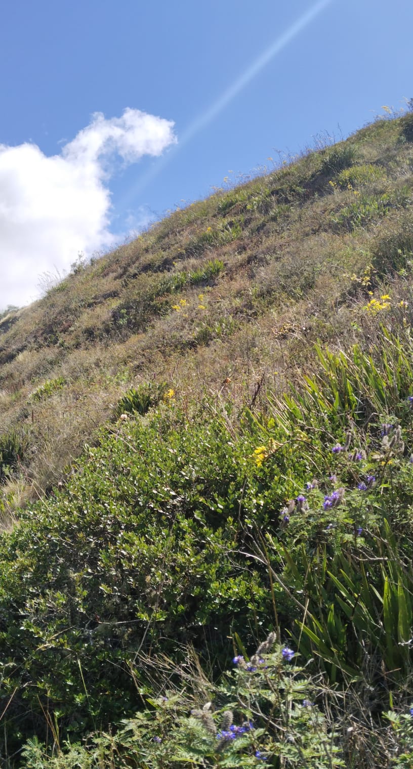 WhatsApp Image 2024-10-25 at 8.45.50 AM (3)