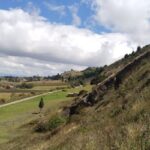 WhatsApp Image 2024-10-25 at 8.45.50 AM (4)