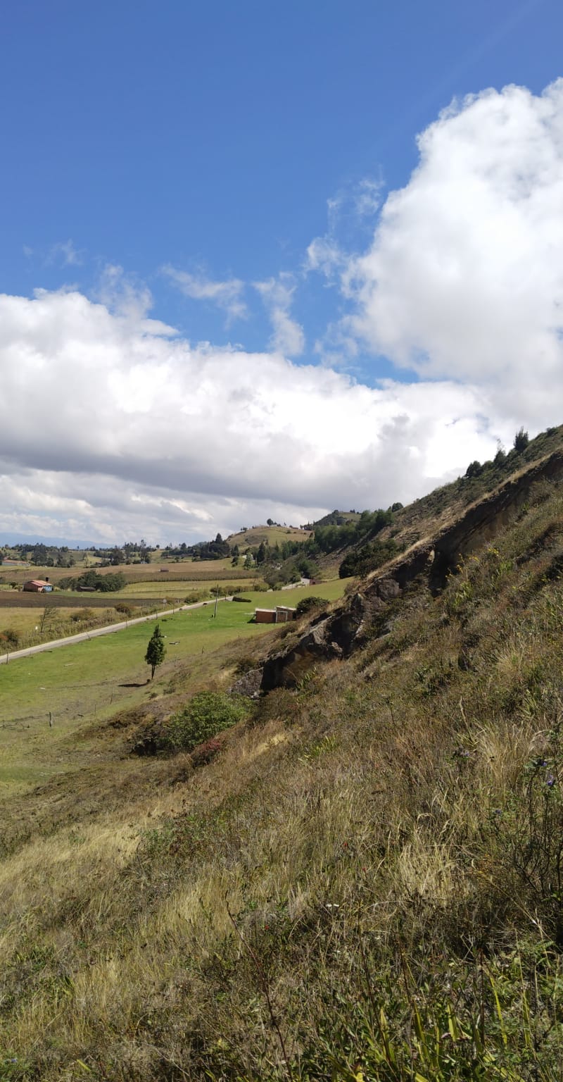 WhatsApp Image 2024-10-25 at 8.45.50 AM (4)