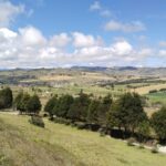 WhatsApp Image 2024-10-25 at 8.45.51 AM (1)