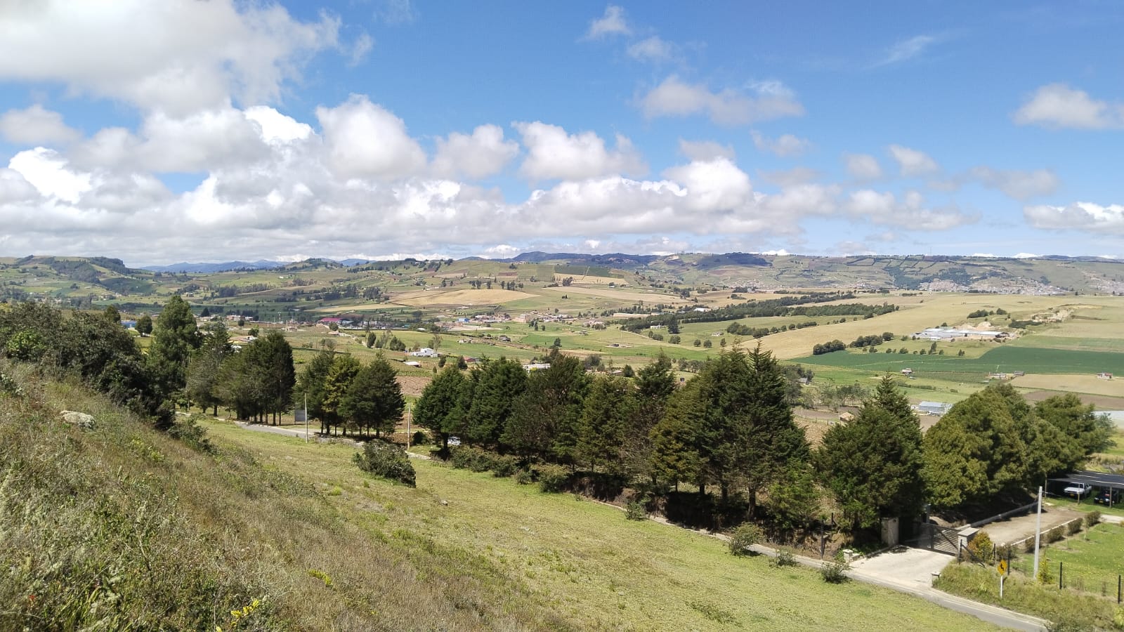 WhatsApp Image 2024-10-25 at 8.45.51 AM (1)