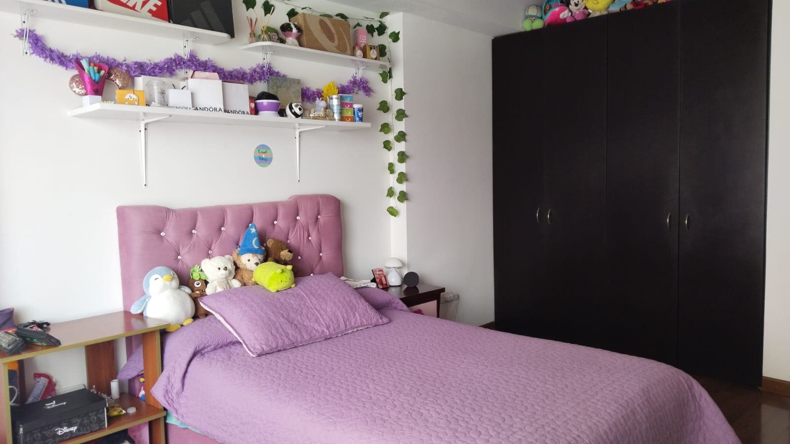 WhatsApp Image 2024-11-13 at 4.12.42 PM (1)