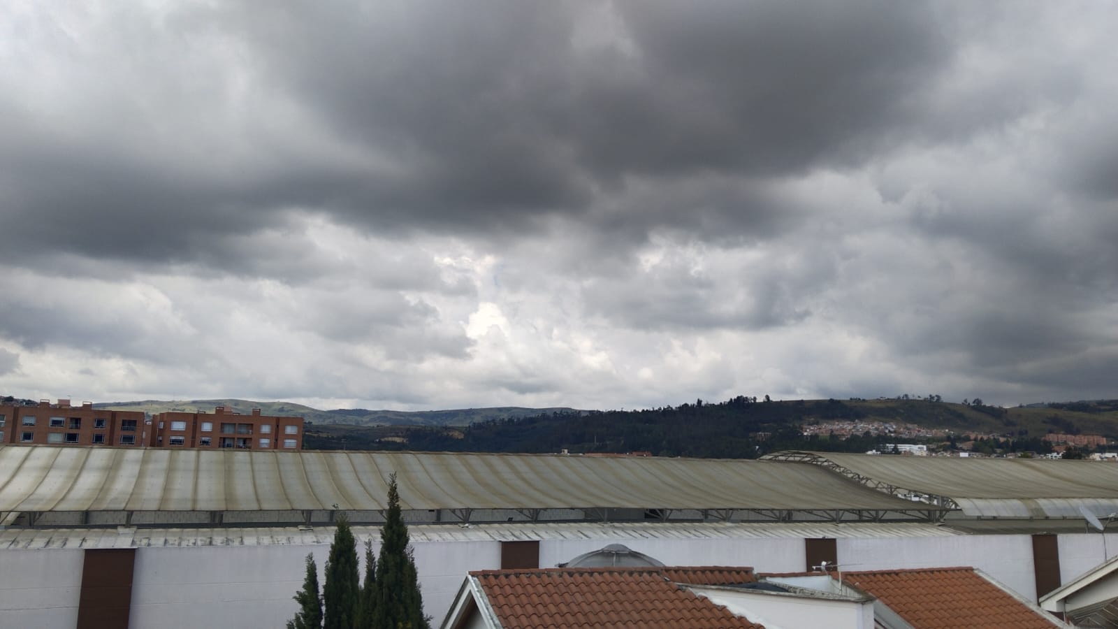 WhatsApp Image 2024-11-13 at 4.12.46 PM