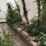 WhatsApp Image 2024-12-05 at 3.56.10 PM (2)