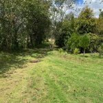 20b205c9-dcdc-469e-b42c-a6775b725dfc