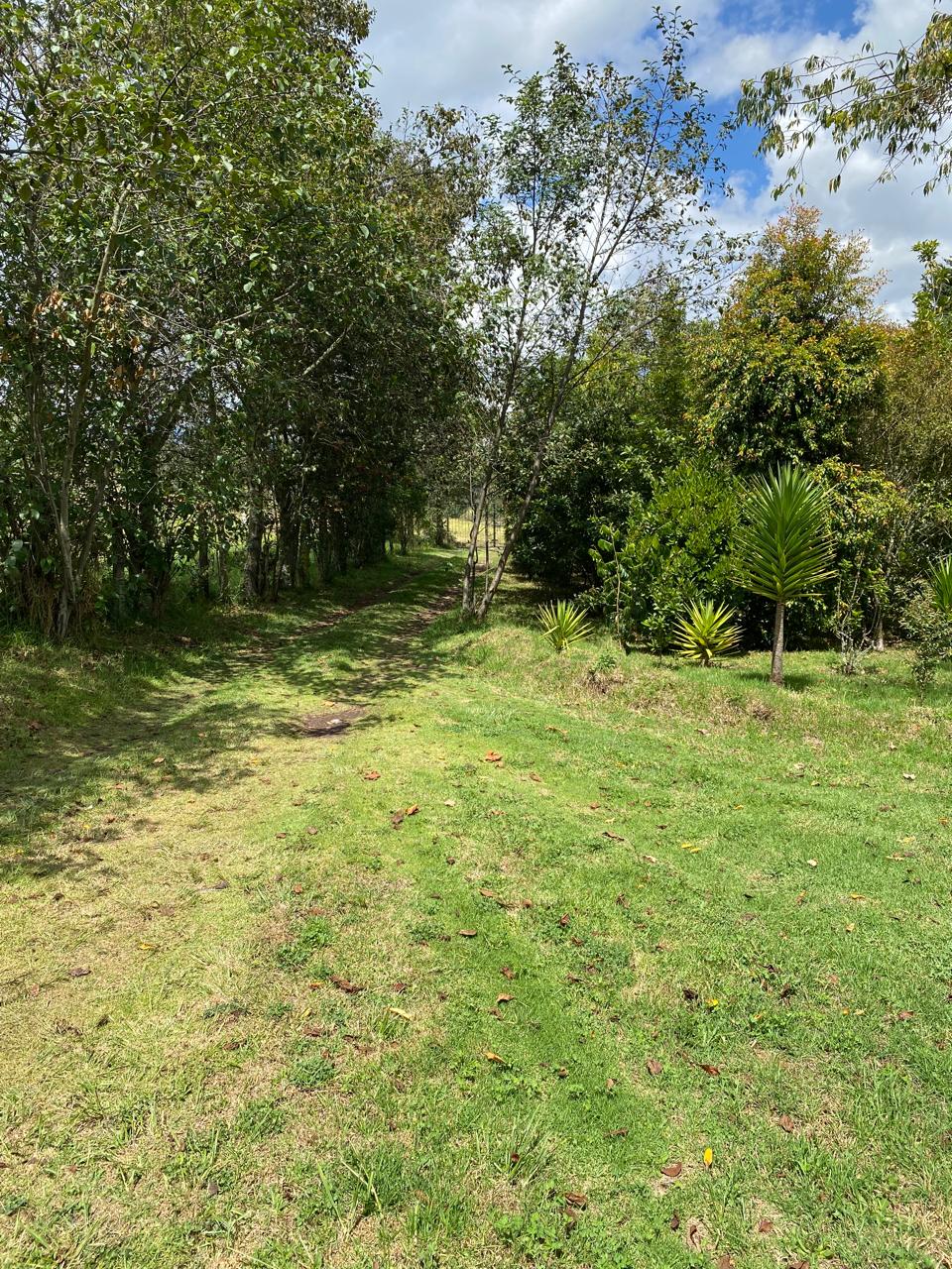 20b205c9-dcdc-469e-b42c-a6775b725dfc