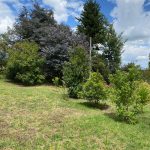 5106a529-1e6c-48ce-96c0-bfea2b2b0829