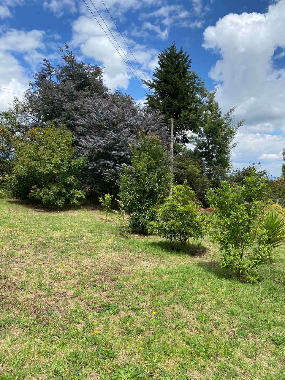 5106a529-1e6c-48ce-96c0-bfea2b2b0829