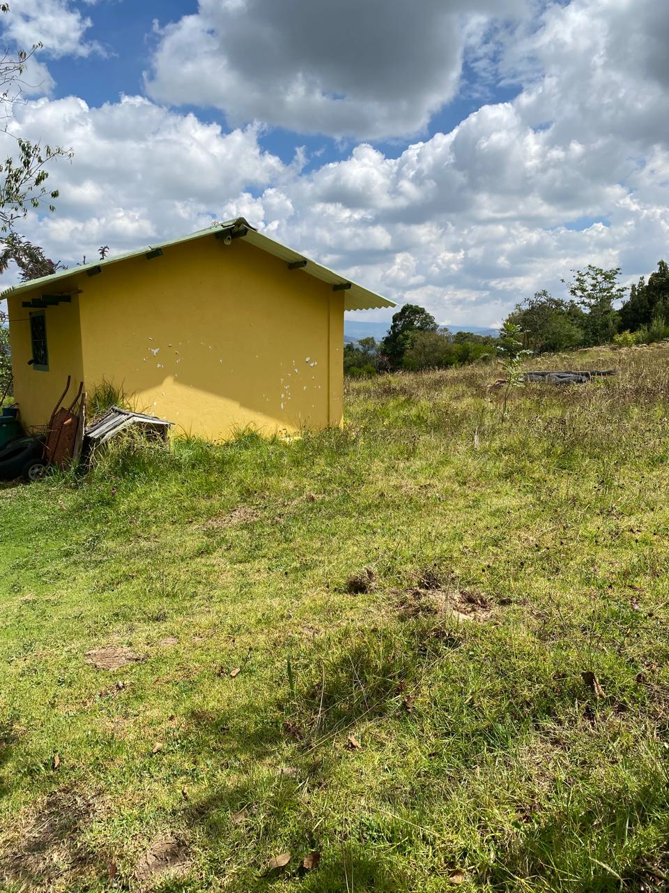 89d9c386-b078-4f9f-b6e9-8a064dd8b978