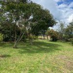 8a748f5a-c79a-4304-b710-0635389f2aad