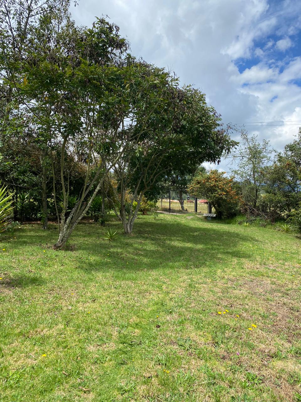 8a748f5a-c79a-4304-b710-0635389f2aad