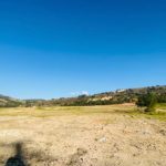 Imagen de WhatsApp 2025-03-27 a las 16.06.40_87856dec